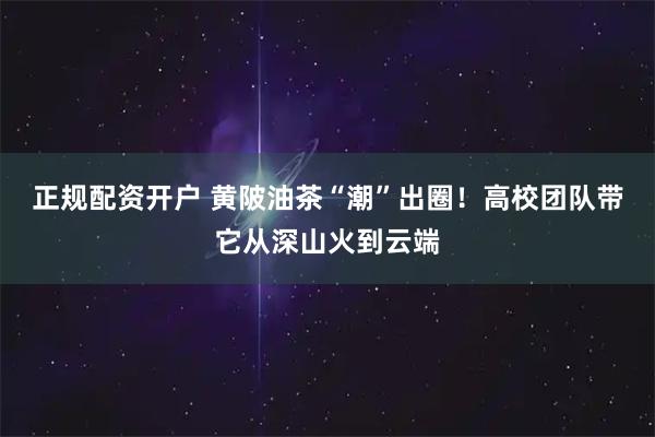 正规配资开户 黄陂油茶“潮”出圈！高校团队带它从深山火到云端