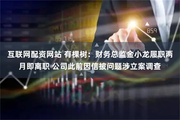互联网配资网站 有棵树：财务总监金小龙履职两月即离职 公司此前因信披问题涉立案调查